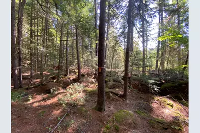 M06-Lot18A Sys Road, Lakeville, ME 04487 - Photo 15
