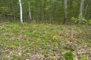 Lot 7 Unionville Rd, Steuben, ME 04680 - Photo 1