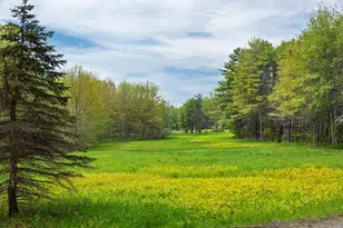 213 Fiddlers Reach Rd, Phippsburg, ME 04562 - Photo 17