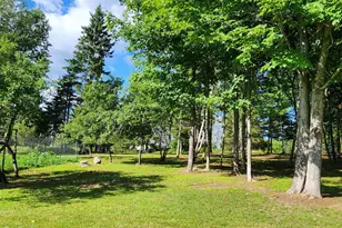 260 Thistle St, Upton, ME 04261 - Photo 83