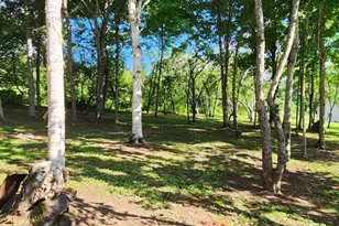 260 Thistle St, Upton, ME 04261 - Photo 85