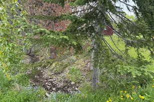 63 Lakeshore Dr, Presque Isle, ME 04769 - Photo 13