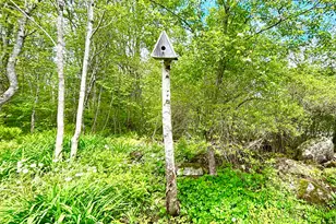 74 Pout Town Rd, Stockton Springs, ME 04981 - Photo 17