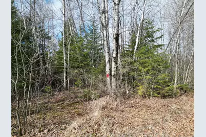 Lot 46I-1 Merriman Road, Island Falls, ME 04747 - Photo 9