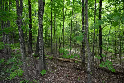 Lot 16D Old Towle Road, Dixfield, ME 04224 - Photo 5