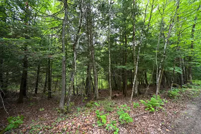 Lot 16D Old Towle Road, Dixfield, ME 04224 - Photo 13