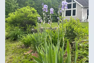 283 Davis Road, Lyman, ME 04002 - Photo 47