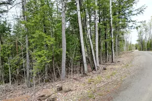 8 Twin Spgs Ln, Lincoln, ME 04457 - Photo 1