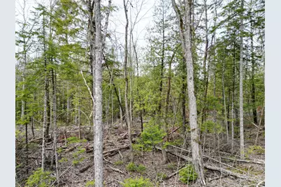 8 Twin Springs Lane, Lincoln, ME 04457 - Photo 5
