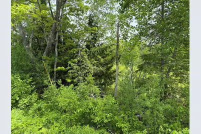 Lot 3 Cross Road, Alna, ME 04535 - Photo 5