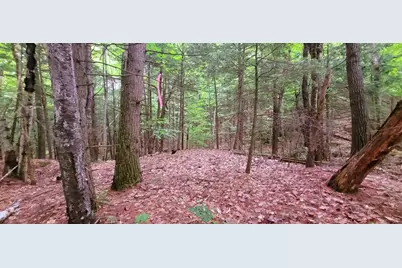 L14-001 Hummingbird Hill Road, Greene, ME 04236 - Photo 5