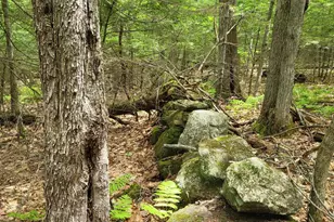 159 Pikes Hill Rd, Norway, ME 04268 - Photo 17