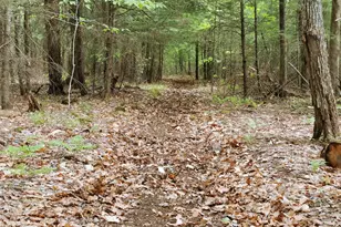 159 Pikes Hill Rd, Norway, ME 04268 - Photo 65