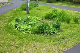 159 Pikes Hill Rd, Norway, ME 04268 - Photo 23
