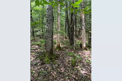 Lot 44 Rolfe Road, Harrison, ME 04040 - Photo 19