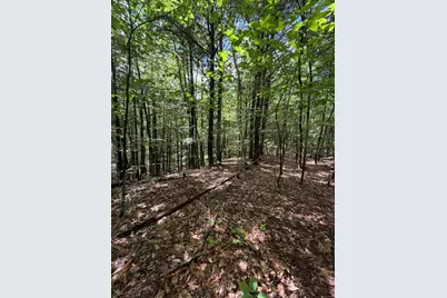 Lot 44 Rolfe Road, Harrison, ME 04040 - Photo 11