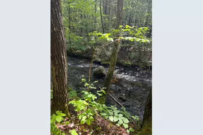 Lot 44 Rolfe Road, Harrison, ME 04040 - Photo 15