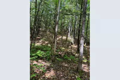 Lot 44 Rolfe Road, Harrison, ME 04040 - Photo 21