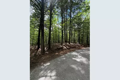 Lot 44 Rolfe Road, Harrison, ME 04040 - Photo 9