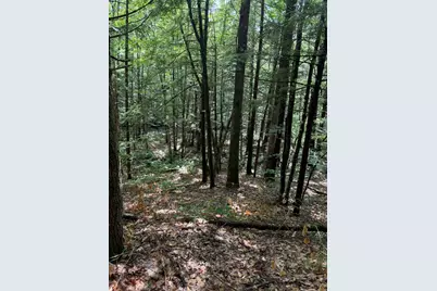 Lot 44 Rolfe Road, Harrison, ME 04040 - Photo 13