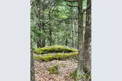 139A Pratt Road, Bowdoinham, ME 04008 - Photo 9