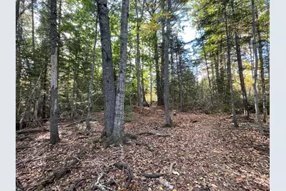 42 Dwelly Point Road, Franklin, ME 04634 - Photo 15