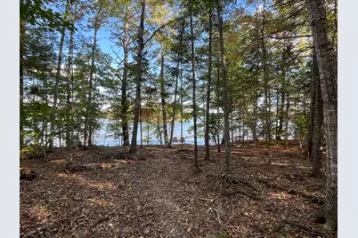 42 Dwelly Point Road, Franklin, ME 04634 - Photo 5