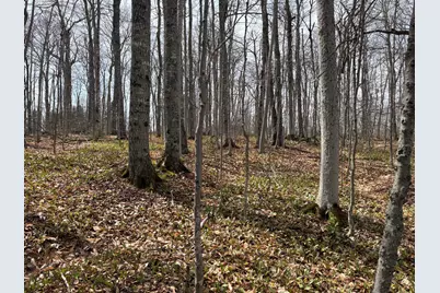 Lot 12 Off Conant (End Of Johnson Rd) Road, Fort Fairfield, ME 04742 - Photo 5