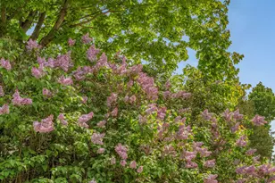 101 Town House Rd, Vienna, ME 04360 - Photo 71