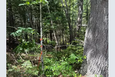 Lot R05129 Polly Clark Brook, Wiscasset, ME 04578 - Photo 9