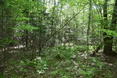 M10 L6-1 Hancock Pond Road, Embden, ME 04958 - Photo 7