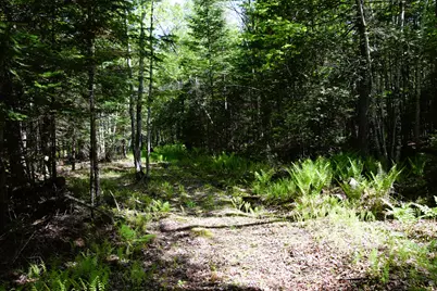 M10 L30 9 & 9A Birch Lane, Canaan, ME 04924 - Photo 7