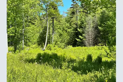 Map 20 Lot 14-10 Iron Tree Street, South Thomaston, ME 04858 - Photo 3
