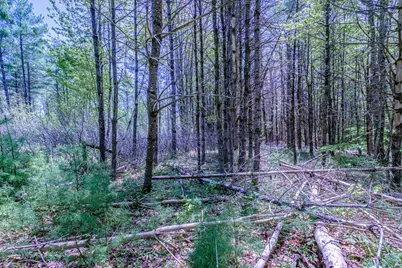 Lot 22 King Street, Oxford, ME 04270 - Photo 33
