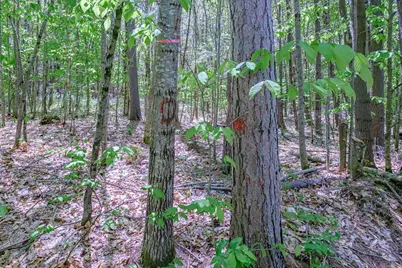 Lot 22 King Street, Oxford, ME 04270 - Photo 29
