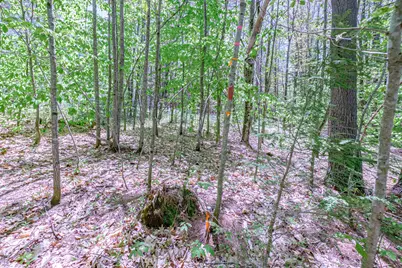 Lot 22 King Street, Oxford, ME 04270 - Photo 31