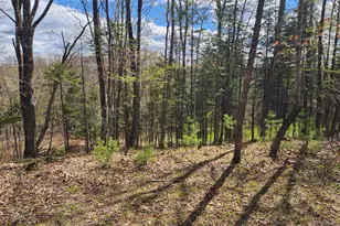 1333 Federal Rd, Livermore, ME 04253 - Photo 59