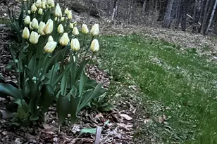 84 Bunker Rd, Charleston, ME 04422 - Photo 33