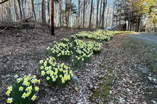 84 Bunker Rd, Charleston, ME 04422 - Photo 29