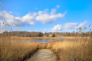 20 Surf Ln, Kennebunk, ME 04043 - Photo 15
