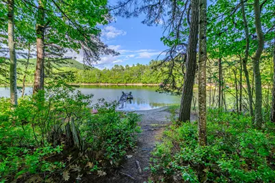 138 Long Pond Drive, Denmark, ME 04022 - Photo 29