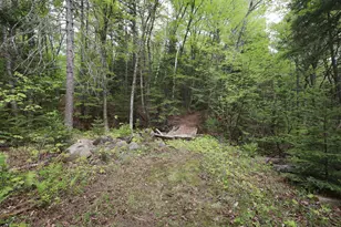 198 Scammon Rd, Greenville, ME 04441 - Photo 23