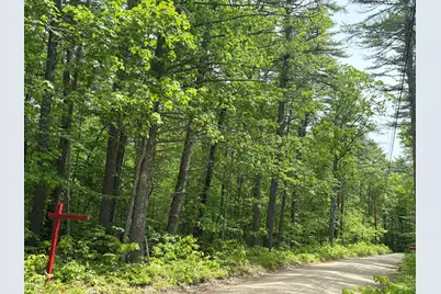 0 Whitehouse Road, Newfield, ME 04095 - Photo 5