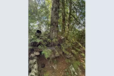 Lot 018 Pike Island, Meddybemps, ME 04657 - Photo 13