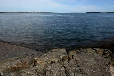 45 Kendall Head Road, Eastport, ME 04631 - Photo 83