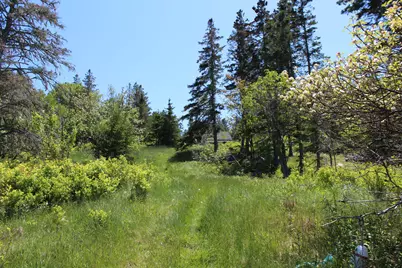 45 Kendall Head Road, Eastport, ME 04631 - Photo 81