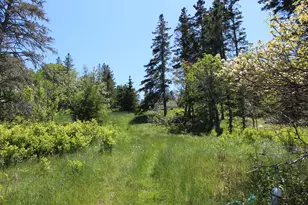 45 Kendall Head Rd, Eastport, ME 04631 - Photo 81
