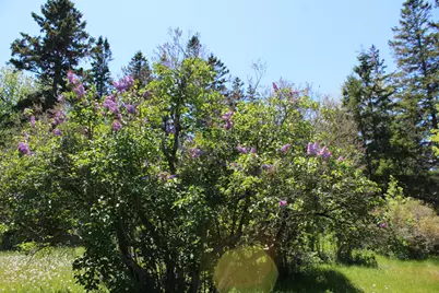 45 Kendall Head Road, Eastport, ME 04631 - Photo 63
