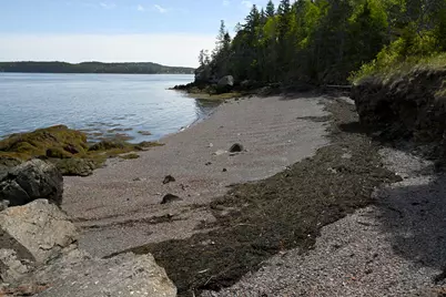 45 Kendall Head Road, Eastport, ME 04631 - Photo 9