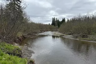 M5L15 Off Alexander Rd, Van Buren, ME 04785 - Photo 1